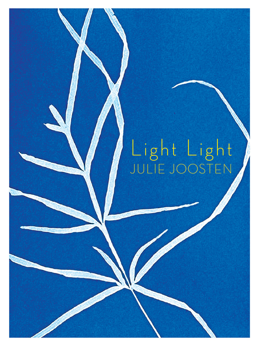 Title details for Light Light by Julie Joosten - Available